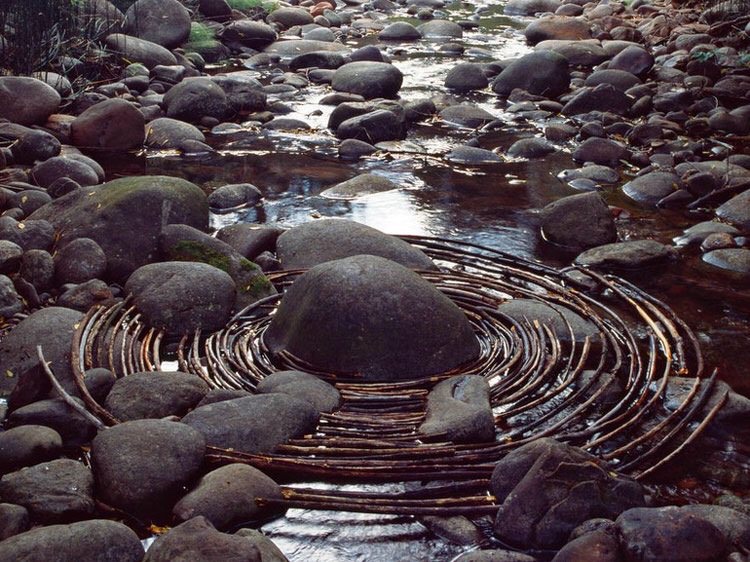 Andy Goldsworthy image 